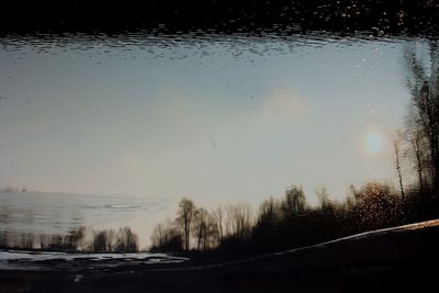 Close-up of trees against sky during winter