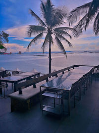 Palm tree by swimming pool against sky