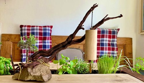 Potted plants on table against wall at home