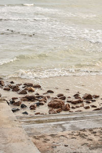 View of rocks on beach