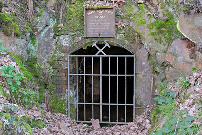 Closed window of building