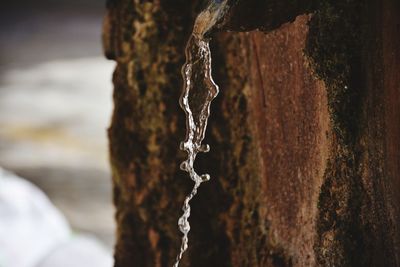 Close-up of rusty chain