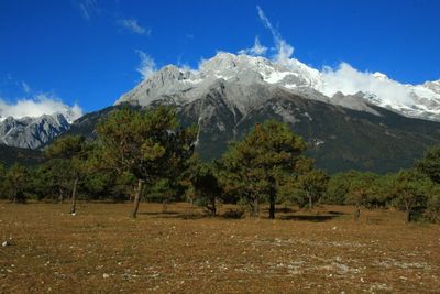 Scenic view of mountains and trees on field against sky