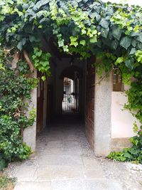 View of narrow entrance of house