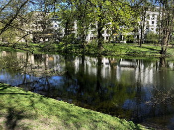 Scenic view of lake in forest