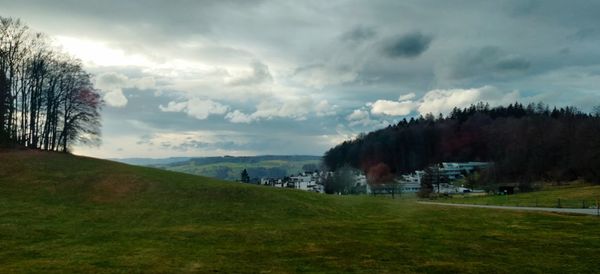 Scenic view of field against sky