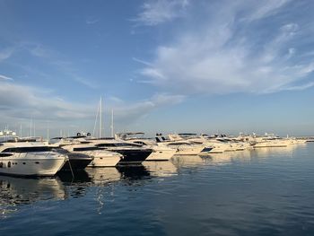 Sailboats in marina