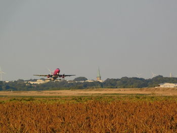 Airplane flying over agricultural field against sky