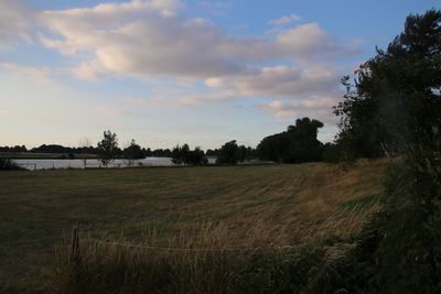 Scenic view of field against sky during sunset