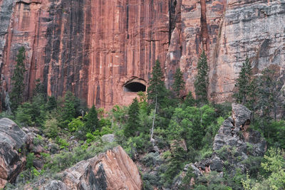 Scenic view of rock formation amidst trees