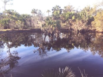 Reflection of trees in lake against sky