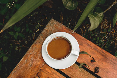 High angle view of coffee cup on table by plants