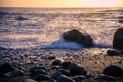 Scenic view of sea during sunset