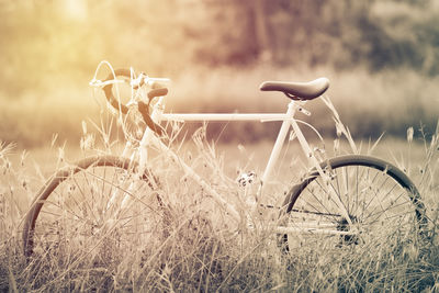 Bicycle parked on field