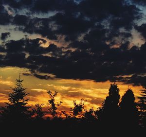 Low angle view of silhouette trees against sky during sunset