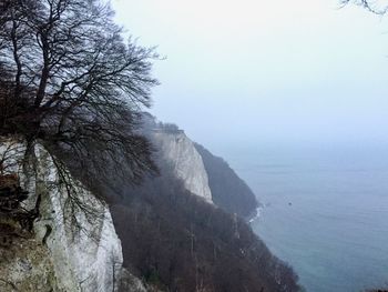 Low angle view of trees against sky