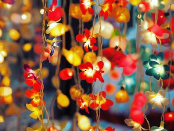 Close-up of illuminated floral decoration lights