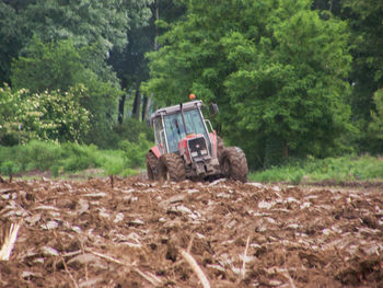 Tractor on field against trees in forest