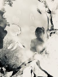 High angle view of fishes swimming in lake during winter