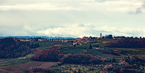 Tuscany hills rural countryside landscape, cypress passages and vineyards. wheat, olives cultivation