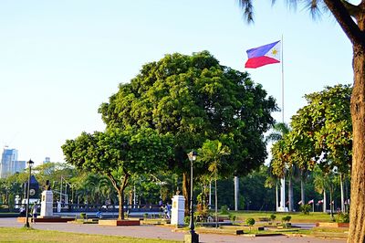 Trees by street in park against clear sky