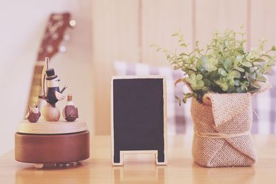 Close-up of potted plant on table at home