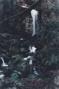 Scenic view of waterfall in forest