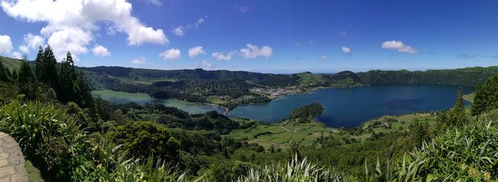 Panoramic view of forest against blue sky
