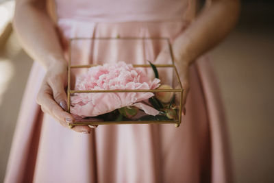 Close-up of hand holding pink rose flower