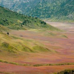 Scenic view of landscape