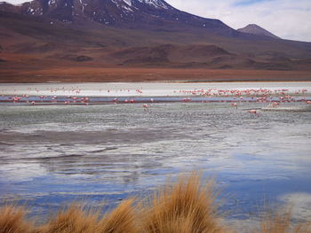 Scenic view of lake against sky