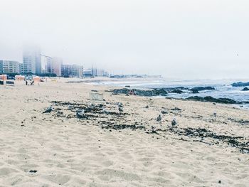 Scenic view of beach against clear sky