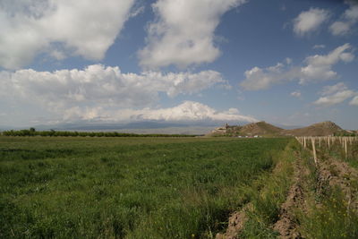 Scenic view of field against sky