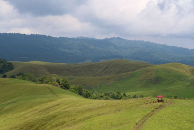 Rear view of green landscape against sky