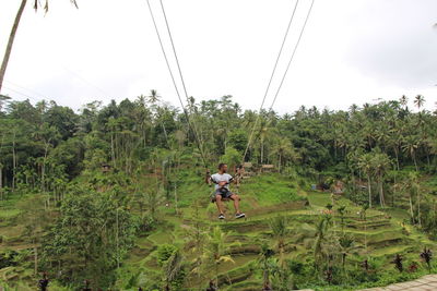 Man swinging over trees