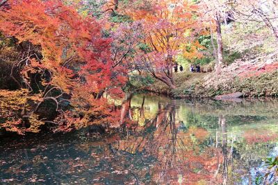 Reflection of multi colored water on lake