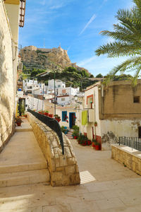 Footpath amidst houses in town against sky