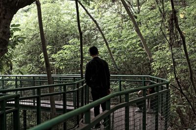 Rear view of man on railing