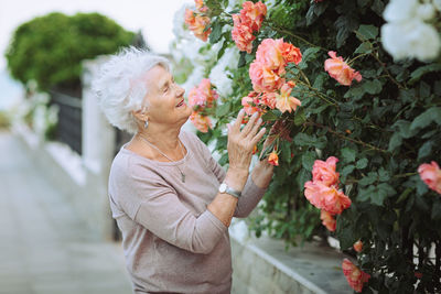 Elderly woman admiring beautiful bushes with colorful roses.