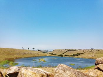 Scenic view of sea against clear blue sky