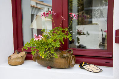 Window decorated with geranium flowers at a provence france