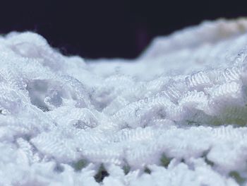 Close-up of snow covered branches