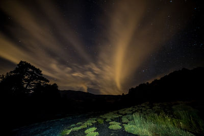 Scenic view of silhouette trees against sky at night