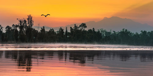 View of birds flying against sky during sunset