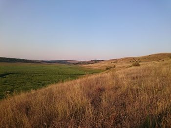 Scenic view of landscape against clear sky