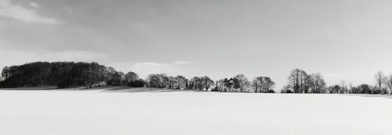 Trees on snow covered field against sky