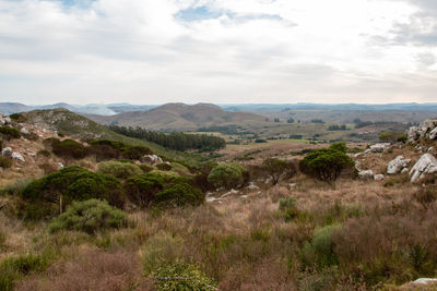 Scenic view of landscape against sky