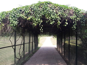 Gazebo amidst trees in park against sky