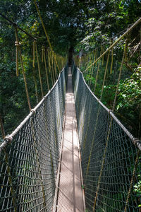 View of footbridge in forest