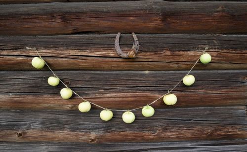 Horseshoe and fruits on wooden wall